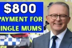 800 Payment for Single Mums