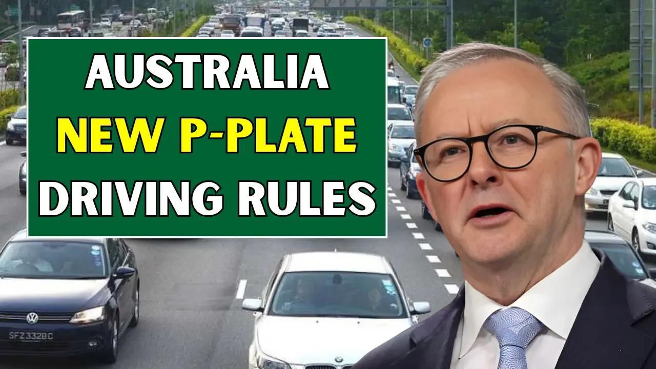 Australia New P Plate Driving Rules